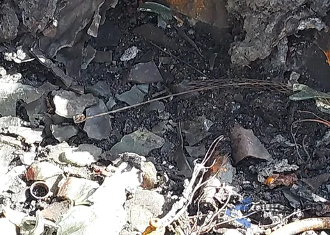 2006 Chevrolet Colorado Lt from USA, damaged, VIN 1GCDT136068245597